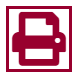 Print Icon